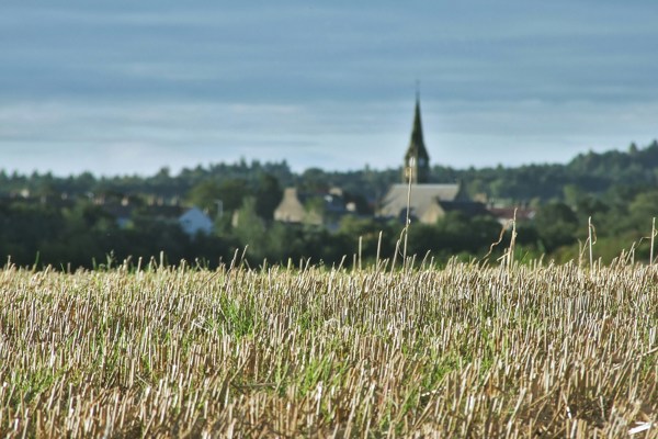 Farm Grain